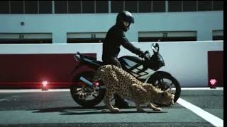 Bike and cheetah|| ya lili ya lela remix songs 2019 ||y2h statas