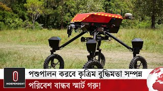 পশুপালনে আসছে পরিবেশবান্ধব ‘স্মার্ট গরু’! | Smart Cow | Independent TV