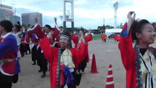 丼舞Re:タイム 「相模原乱舞」 やぐら会場 第19回 こいや祭り2018