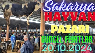 Sakarya hayvan pazarı 20.10.2024 her yerde kıran kırana pazarlıklar var