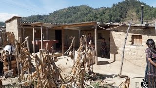 Education & More | Healthy Homes Program