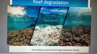 Water quality effect on the reef degradation