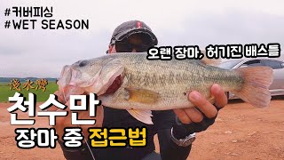 [INTJ가 배스낚시하는 법] 천수만 배스 포인트!🤩 오랜 장마로 배고푼배스들 반응은?😁