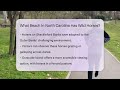 what beach in north carolina has wild horses beach tour guide