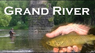 Fly Fishing Browns on the Grand River