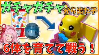 一期一会の極み「ガチャガチャ6回構築」でランクマッチに勝利したい！ ～ 可愛いマスコット枠の筈が何故か受けルに寄る構築【ポケモンSV】【ボイスロイド+ゆっくり実況】