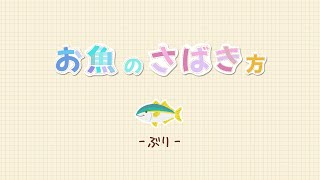 お魚のさばき方(ぶり編)