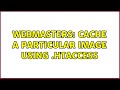 Webmasters: Cache a particular image using .htaccess