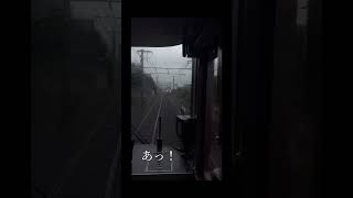 雨で遅れすぎた特急くろしお号