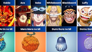 Every One Piece Characters Who Ate The Same Devil Fruits