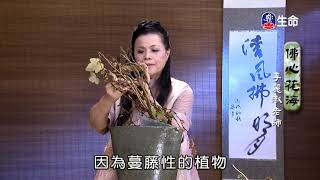 靠岸_佛心花海-李麗淑老師（lifetv_20170916_11:00）