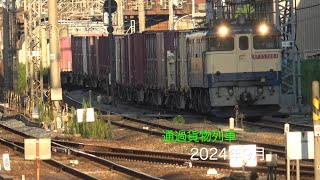 【HD60P】通過貨物列車 2024年9月分