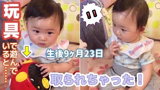 【生後9ヶ月と23日】おもちゃを取られて怒る赤ちゃん【りあっぴ 成長記録】