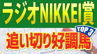 【ラジオNIKKEI賞2023】追い切りが高評価だった「トップ3」はこの馬だ🐴 ～JRAラジオ日経賞の馬体診断や競馬予想～