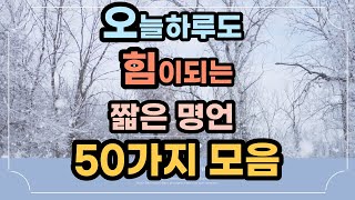 짧은명언│3분영상│인생명언│50가지모음│성공명언│인생글귀