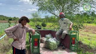 ភាពជោគជ័យរបស់កសិករ ស្រ៊ន សារឿន លើបន្លែសុវត្ថិភាព និងទីផ្សារ ដែលគាំទ្រដោយកម្មវិធីASPIRE