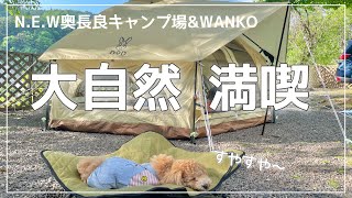 【愛犬とキャンプ】大自然を満喫してドッグコットですやすやなトイプードルが可愛すぎた@N.E.W奥長良キャンプ場＆WANKO【プーチャンネル】【トイプードル】