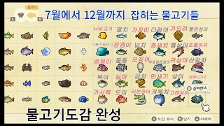 동물의 숲 7월에서 12월 잡히는 물고기들