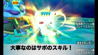 【ドラクエ10】マリーン強をサポのみで6秒台で倒すなど