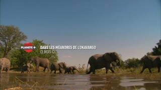 Dans les méandres de l'Okavango sur PLANÈTEPLUS CANADA