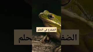 دلالة الضفدعة في الحلم!