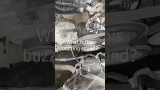 What Is This Buzzing Sound