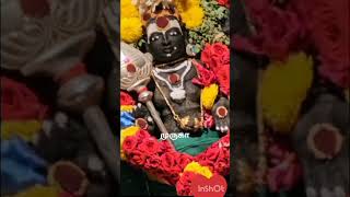 #🙏 முருகா எனும் நாமம் அழிக்கும் மோசமான தலையெழுத்தை🙏#yt shorts feed#trending devotional shorts#Muruga