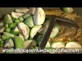 ผัดเผ็ดไก่บ้าน ครัวเที่ยวตามใจ ep.37