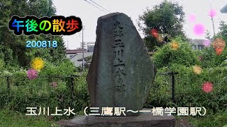 玉川上水緑道を歩く（三鷹駅から一橋学園まで）