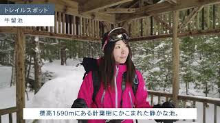 Joyful Walks Norikura Winter 三本滝トレイル案内動画 /スノーシュー  snowshoeing / 乗鞍高原 norikurakogen