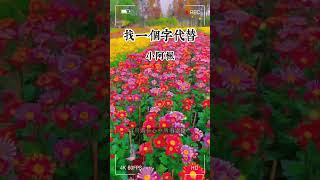 找一個字代替 半噸兄弟 (原唱：邰正宵）| 【 高音質】【動態歌詞】 | 我想摘兩顆星給你 放在你眺望我的眼里\