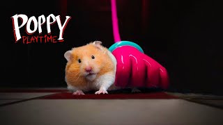If Hamster Was In Poppy Playtime Chapter 2 | Hamsterious