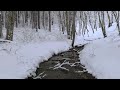 4k hdr snowy brook relaxing river sounds peaceful snow u0026 forest stream flowing water sleep aid