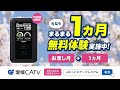 eねっとair premium 5g （新生活向け）