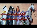 (207)قصص وعبر/قصة  البدوي ودهاءالعرب قصة حامل  وزوجها بعيد قصه فيها الحكمة والعبرة !!