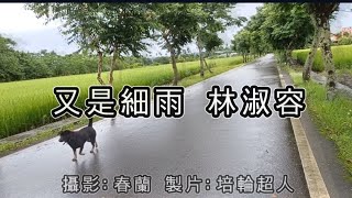 花蓮U_日常美景(又是細雨_林淑容)_20240610