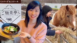 北海道 たび　「ハンバーグ＆ステーキ　白老牛いわさき　ご馳走亭」/Hien Hokkaido Vlog