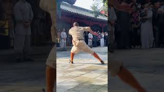 【少林功夫】少林真功夫 | Shaolin kungfu | Chinese Kung Fu #shorts