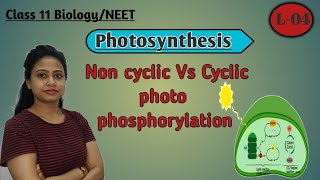 Ch-13 Photosynthesis L-04 | Non cyclic Vs cyclic photophosphorylation | Class 11 Biology/NEET/AIIMS