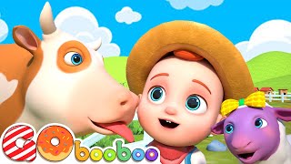 Old Mc Donald Had A Farm Song | Learn Animal Sounds | Kids Songs and Nursery Rhymes by Song BooBoo