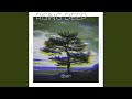 Solace (Original Mix)