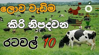 ලෝකයේ වැඩිම කිරි 🥛 නිෂ්පාදනයක් කරන රටවල් 10. #milk @Agro9494