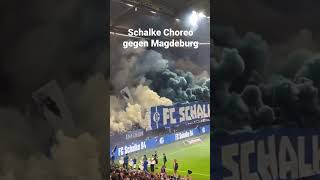 Schalke Choreo gegen Magdeburg