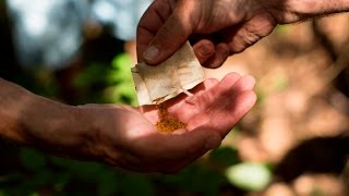 Birch Syrup Provides Sweet, Sustainable Business in the Boreal Forest