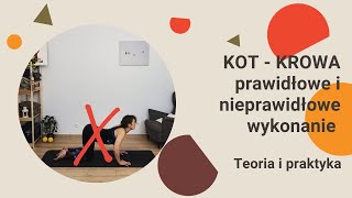 Kot-krowa - 3 ważne rzeczy, na które trzeba zwrócić uwagę! Poprawne i błędne wykonywanie