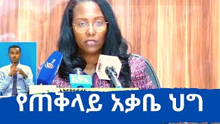 Ethiopia: ጠ/አቃቤ ህግ አዳነች አቤቤ በሀጫሉ ሁንዴሳ ግድያ አስር ተጨማሪ ተጠርጣሪዎች መያዛቸውን አሳወቁ | Hachalu | Jawar | Eskinder