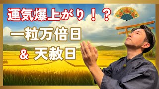 運気爆上がり!? 一粒万倍日（いちりゅうまんばいび）・天赦日（てんしゃび）の正しい使い方、と、知られざる落とし穴⚠️