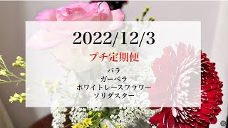 2022年12月3日（土）発送のプチ定期便