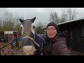 snuggy hoods lycra show hood our first ever product review vlogmas equestrian reviews