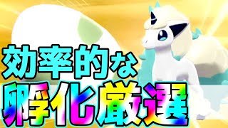 【色違いGET】3時間以内に色違いポケモンを出した方法はこれだ！！【 #ポケモン剣盾 】